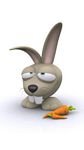 pic for Funny Bunny 